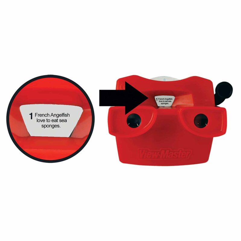 Viewmaster Boxed Set - US 2970