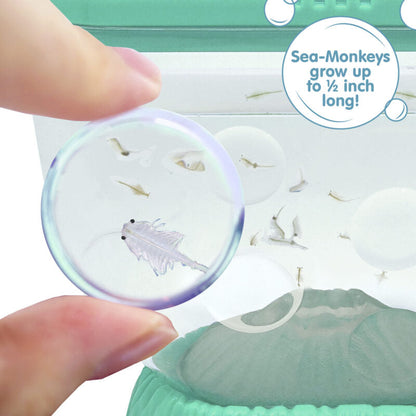 Sea-Monkeys Ocean Volcano - US 8432